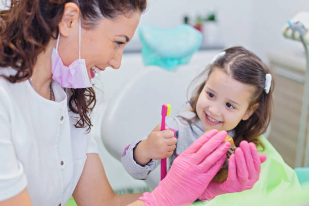 Professional Holistic Dental Care Services in New Beaver, PA